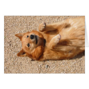 bande de frottement du ventre 0006Copper