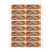 BANDE POUR ADRESSE ADOPTION DE MAGI (Feuille)