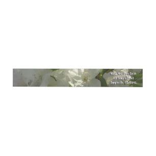 Bande Pour Adresse De Retour Azalées Blancs Solaires Belles Fleurs De Printemps