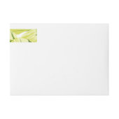 Bande Pour Adresse De Retour Banane Feuille 4 (Devant)