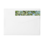 Bande Pour Adresse De Retour Branche of Dogwood Blossoms Spring Trees (Dos)
