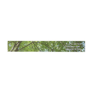 Bande Pour Adresse De Retour Canopée du printemps Feuille Green Nature Scene