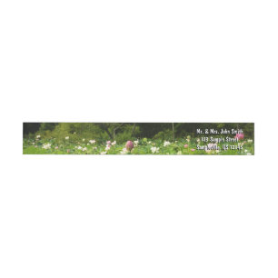 Bande Pour Adresse De Retour Champ de fleurs de Lotus Jardin d'été