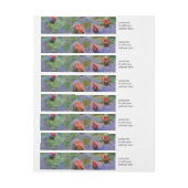 Bande Pour Adresse De Retour Claude Monet's Water Lilies (Feuille)