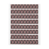 Bande Pour Adresse De Retour Dex (Feuille)