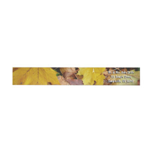 Bande Pour Adresse De Retour Feuilles de Érable Tombées Jaune Automne Nature