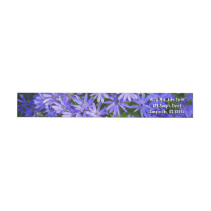Bande Pour Adresse De Retour Fleurs bleues à la marguerite Nature Photographie