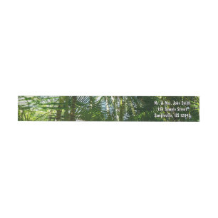 Bande Pour Adresse De Retour Forest of Palm Trees Tropical Nature