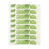 Bande Pour Adresse De Retour Plante de ficus 2 (Feuille)