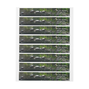Bande Pour Adresse De Retour Rangée de tortues Green Nature Photo