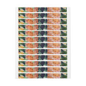 Bande Pour Adresse De Retour Roses aquarelle 29 (Feuille)