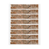 Bande Pour Adresse De Retour Roses d'aquarelle 37 (Feuille)