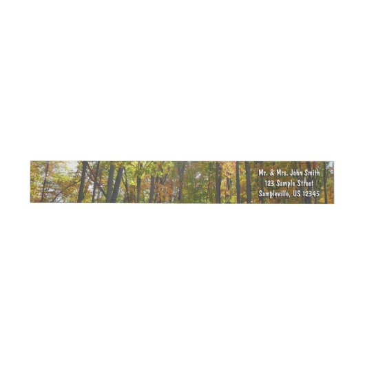 Bande Pour Adresse De Retour Sunlit Fall Forest Paysage d'automne (Individuel)