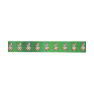 Bande Pour Adresse Ginger Chat Noël Sur Vert