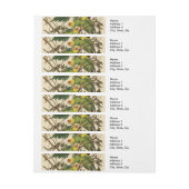 Bande Pour Adresse Illustration Audubon Carolina Parrot Bird (Feuille)