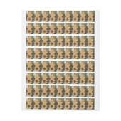 Bande Pour Adresse Le Christ (Feuille)