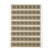 Bande Pour Adresse Leo Constellation Hevelius 1690 Juillet23 - Août 2 (Feuille)