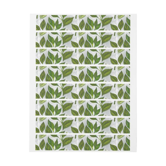 Bande Pour Adresse Motif sans couture avec Feuilles de thé vert (Feuille)