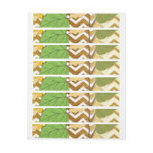 Bande Pour Adresse Rose 10 (Feuille)