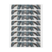Bande Pour Adresse tarantule bleue (Feuille)