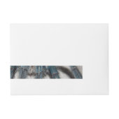 Bande Pour Adresse tarantule bleue (Devant)