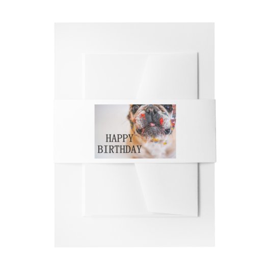 Bandeau De Faire-part anniversaire frenchie (Devant example)