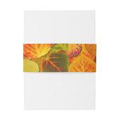 Bandeau De Faire-part Aspen Feuilles Collage Solid Medley 1 (Dos Example)