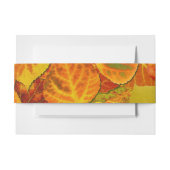 Bandeau De Faire-part Aspen Feuilles Collage Solid Medley 1 (Devant Example)