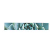 Bandeau De Faire-part Closeup Succulent (Plat)