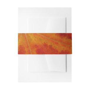Bandeau De Faire-part Feuille d'érable rouge Abstraite Automne Photograp