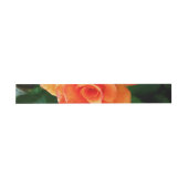 Bandeau De Faire-part Fleur de rose orange (Plat)