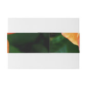 Bandeau De Faire-part Fleur de rose orange (Dos exemple)