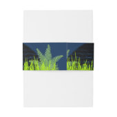 Bandeau De Faire-part Galaxy-Portal stationnaire (Dos Example)