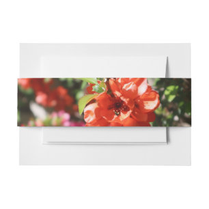 Bandeau De Faire-part Mariage de fleurs de coing rouge et rose