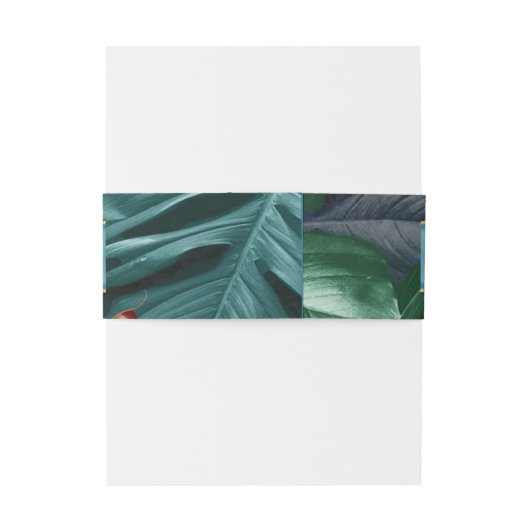 Bandeau De Faire-part Papillons du Paradis/Tropical Turquoise Splash (Dos Example)