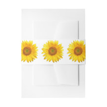 Sunflower Invitation Belly Band