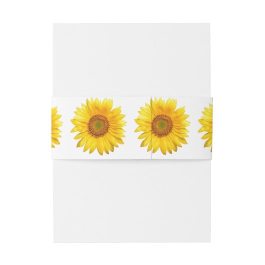 Bandeau De Faire-part Sunflower Invitation Belly Band (Dos Example)