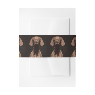 Bandeau De Faire-part Troisième Vizsla