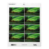 Banded Aurora Etiket (Full Sheet)
