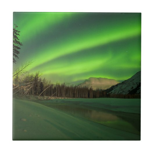 Banded Aurora Tegeltje (Voorkant)