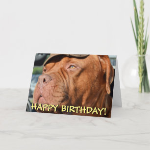 Bandenhoes voor foto's kaart