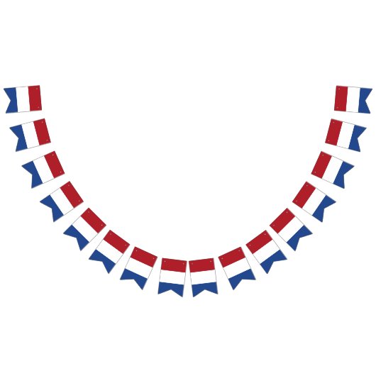 Banderole du drapeau de Pays-Bas des Caraïbes (Tout)