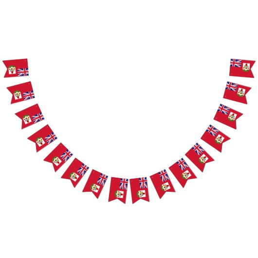 Banderole du drapeau des Bermudes (Tout)