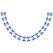 Banderole Israël drapeau bleu blanc patriotique (Tout)