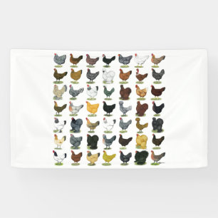 Banderoles 49 poules de poulet