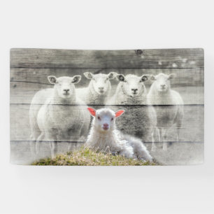Banderoles Agneau de bébé de Sheep Flock