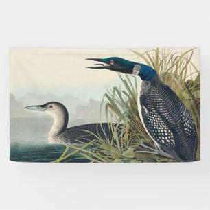 Banderoles Audubon Bird Loon Diver Classic