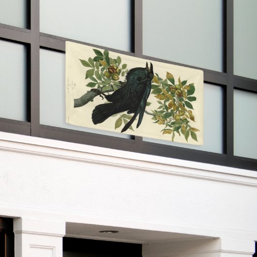 Banderoles Audubon Raven Oiseau classique (Bâtiment extérieur)