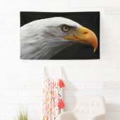 Banderoles Bald Eagle bnrcna (En situation)