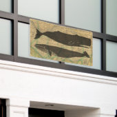Banderoles Baleine antique Vie marine (Bâtiment extérieur)